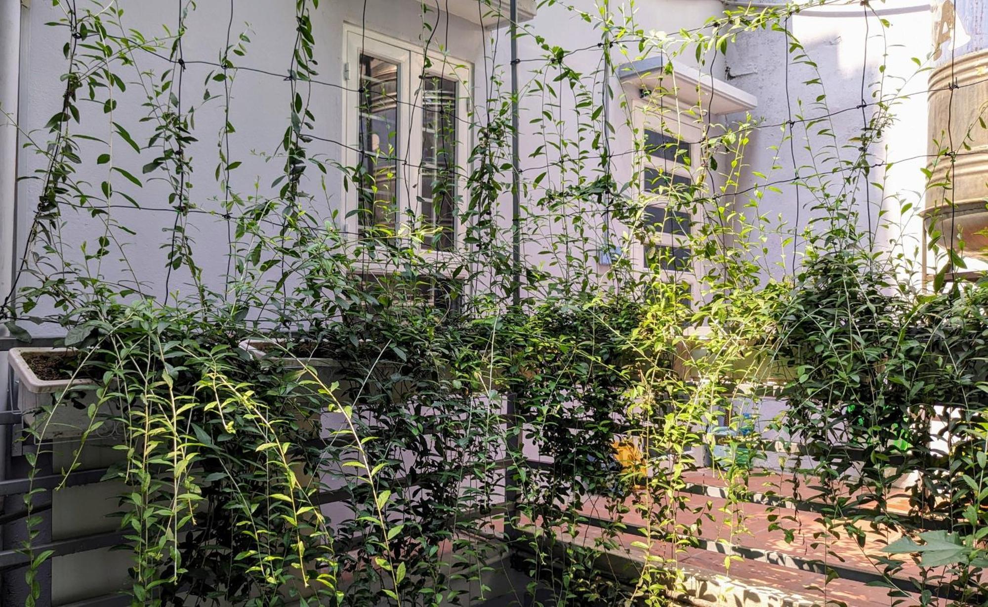 Goc Nho Ha Noi Homestay Hanoi Eksteriør bilde